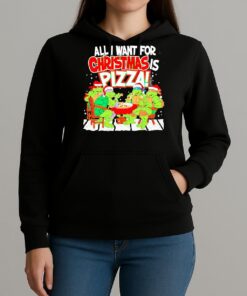 Tmnt All I Want For Christmas Is Pizza Premium Unisexhoodie