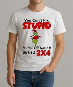 Grinch You Cant Fix Stupid But You Can Numb It With A 2X4 Christmas Shirt