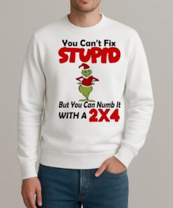 Grinch You Cant Fix Stupid But You Can Numb It With A 2X4 Christmas sweater