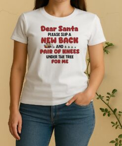 Minions Dear Santa Please Slip A New Back And Pair Of Knees Under The Tree For Me Women Shirt