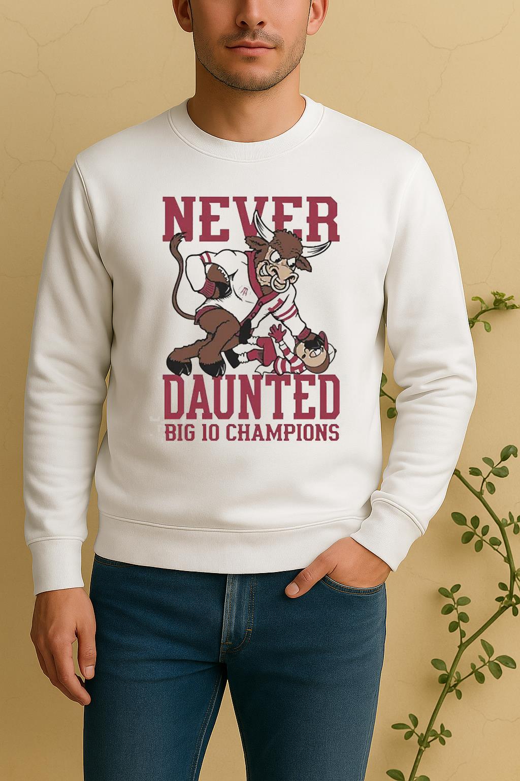 Never Daunted Big 10 Indiana Champions Sweater