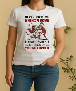 Official Grinch Never Kick Me When Im Down Because When I Get Back Up Youre Fucked Women Shirt