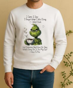 Officials Grinch I Came I Saw I Forgot What I Was Doing Went Back No Idea Whats Going On Sweater
