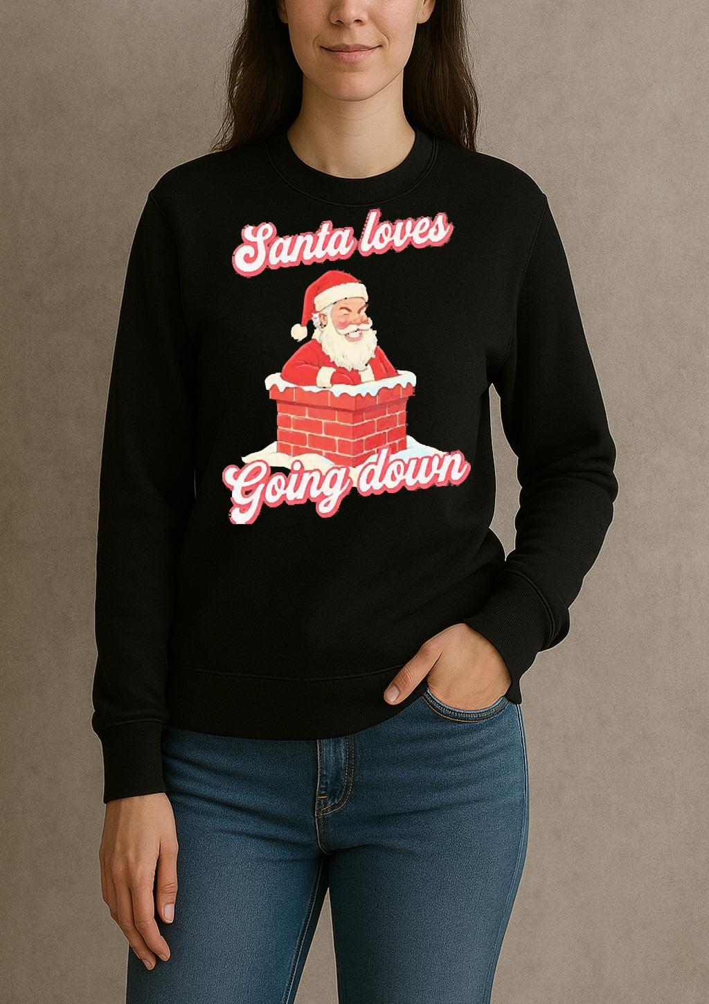 Santa Loves Going Down Premium sweater