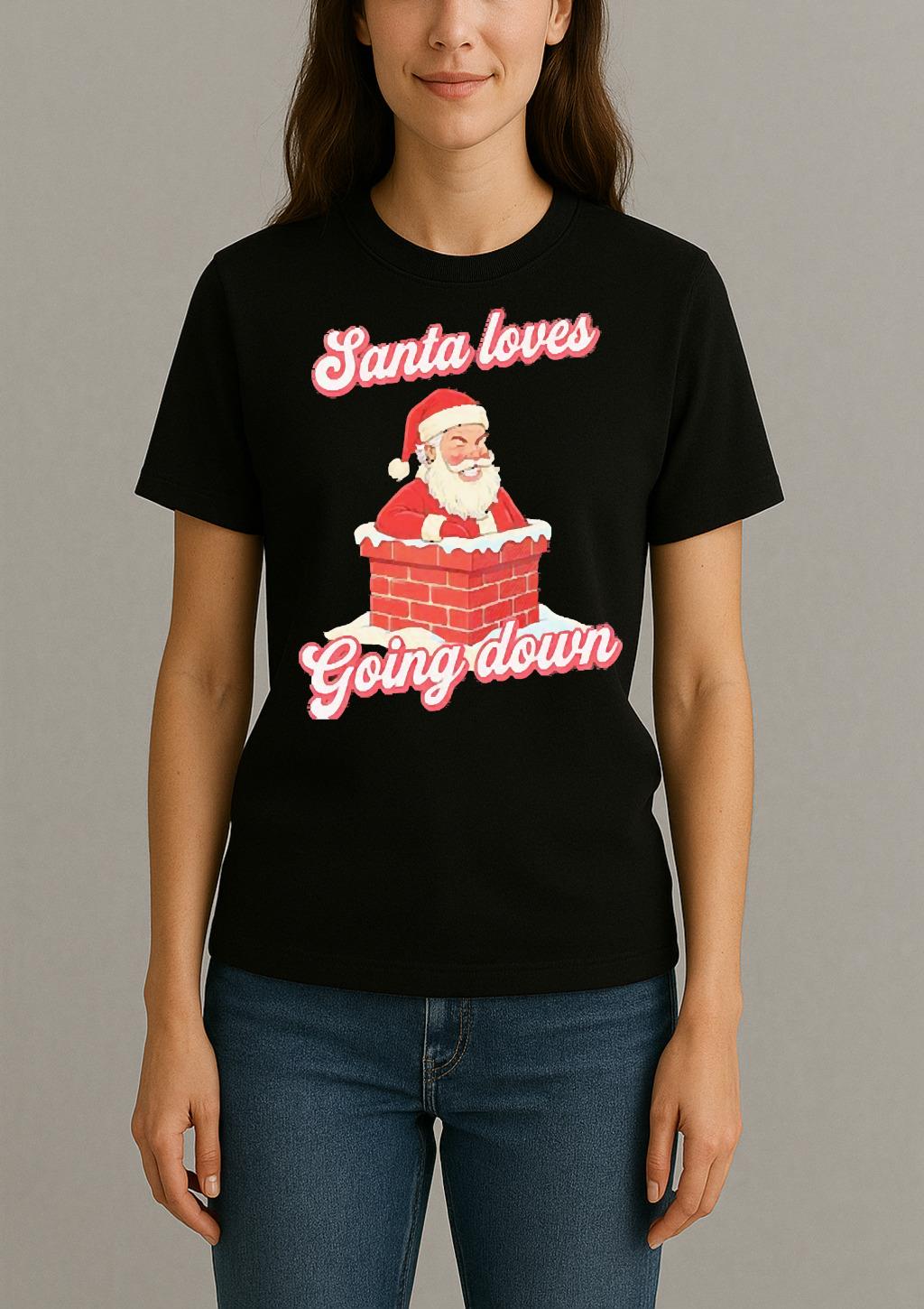 Santa Loves Going Down Premium Womentee