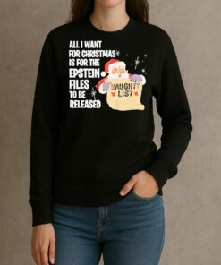 Santa Naughty List All I Want For Christmas Is For The Epstein Files To Be Released Premium sweater