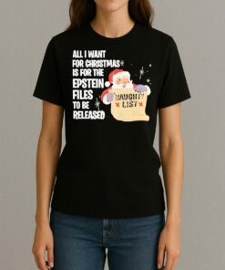Santa Naughty List All I Want For Christmas Is For The Epstein Files To Be Released Premium Womentee