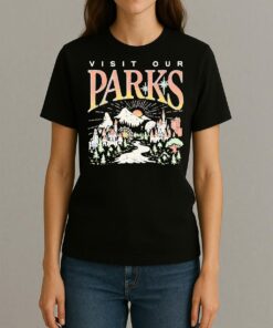 Visit Our Parks City Skyline Premium Womentee