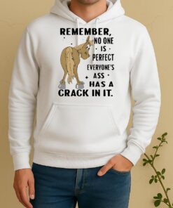 Horse Remember No One Is Perfect Everyones Ass Has A Crack In It Unisex Hoodie