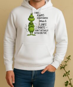 Officials Grinch I Am Always Disappointed When A Liars Pants Dont Actually Catch On Fire Unisex Hoodie