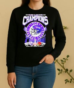 Officials Tcu Horned Frogs 2026 Valero Alamo Bowl Champions Helmet Sweater