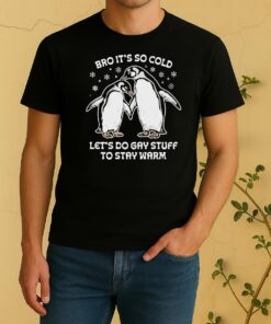 Pretty Bro Its So Cold Lets Do Gay Stuff To Stay Warm Shirt