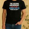 The Second Amendment Exists Because Assholes Like Ice Tee Shirt